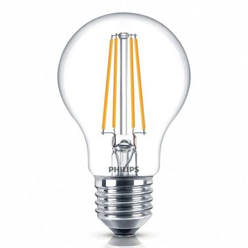 Philips Filament 60 Watt 2700 K 2 Adet Ampul