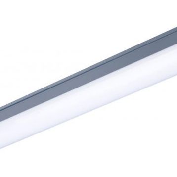 Philips WT066C 40W Led Etanj Armatür