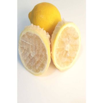 Pi İthalat Limon Bonesi 100 Adet Bitki Çayı Bonesi