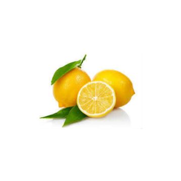 Pi İthalat Limon Bonesi 50 Adet Bitki Çayı Bonesi