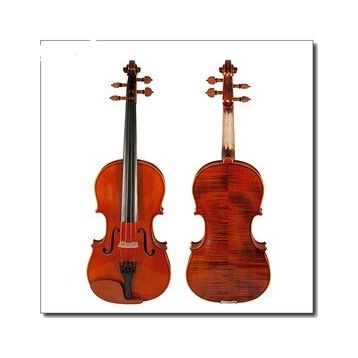 Picaldi VH50J NB 4/4 Keman