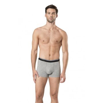 Pierre Cardin 2'li Stretch Erkek Boxer