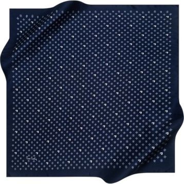 Pierre Cardin 4839799-921 Twill Eşarp