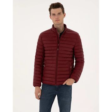 Pierre Cardin 50313921-VR014 Bordo Kapitone Basic Erkek Mont