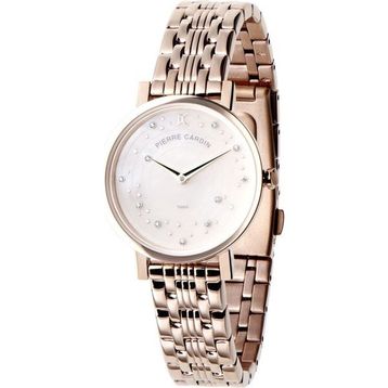 Pierre Cardin CCM.0549 Erkek Kol Saati