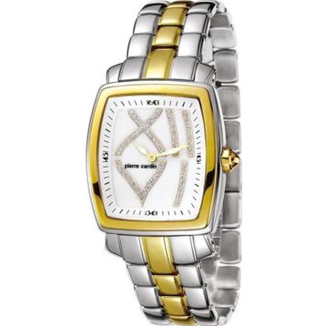 Pierre Cardin PC102072F05 Kadın Kol saati