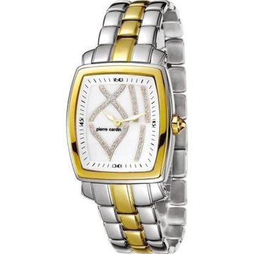 Pierre Cardin PC102072F05 Kadın Kol saati
