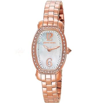 Pierre Cardin PC105092F04 Kadın Kol Saati