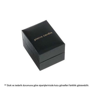 Pierre Cardin PC105941F08 Erkek Kol Saati