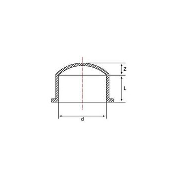Pimtaş 50 mm Pvc Kör Tapa