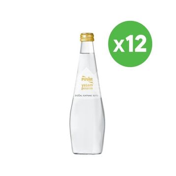 Pınar 0,33 lt Cam Su (12 adet)