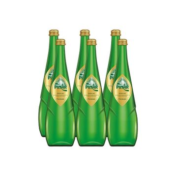 Pınar 750 ml Premium Gazlı Su (6 adet)