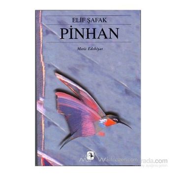 PINHAN - ELIF ŞAFAK