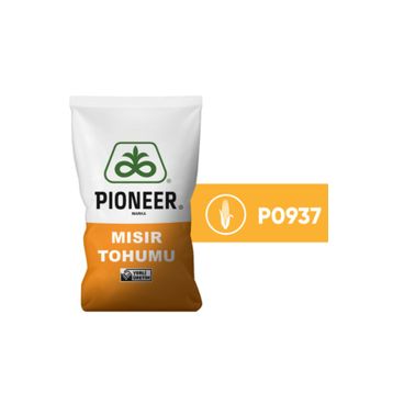 Pioneer 0937 Danelik Mısır Tohumu