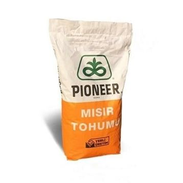 Pioneer 0937 Danelik Mısır Tohumu
