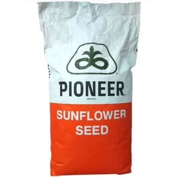 Pioneer P64LC108 Ayçekirdeği Tohumu