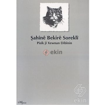 PISÎK JÎ XEWNAN DIBÎNIN - ŞAHÎNÊ BEKIRÊ SOREKLÎ