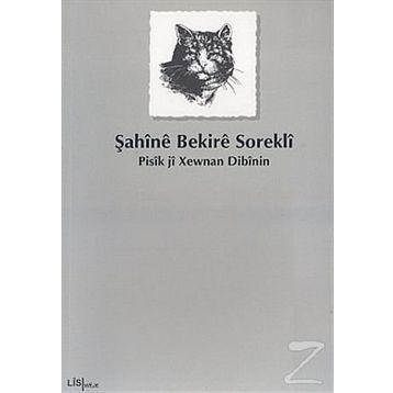 PISÎK JÎ XEWNAN DIBÎNIN - ŞAHÎNÊ BEKIRÊ SOREKLÎ