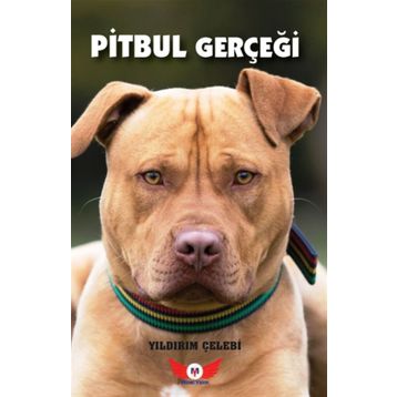Pitbul Gerçeği- Yıldırım Çelebi
