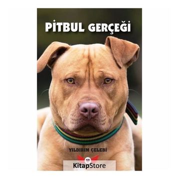 Pitbul Gerçeği- Yıldırım Çelebi
