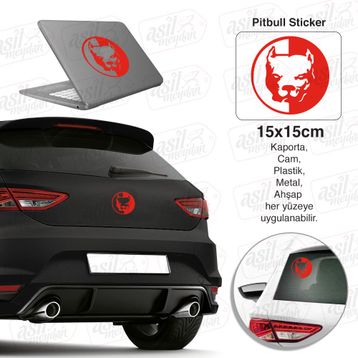 Pitbull Oto Sticker
