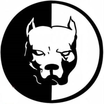 Pitbull Oto Sticker