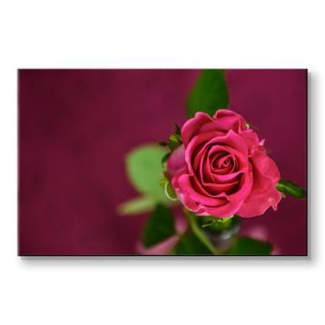 Piyero Pembe Gül Kanvas Tablo