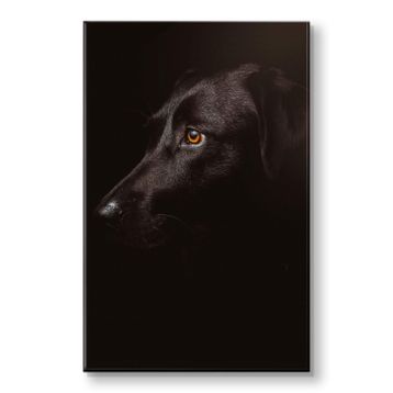 Piyero Siyah Köpek Kanvas Tablo