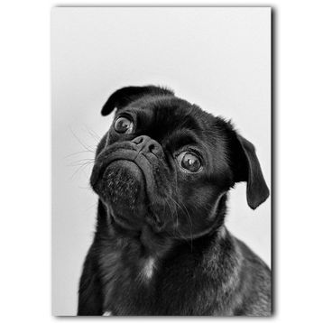 Piyero Siyah Köpek Kanvas Tablo