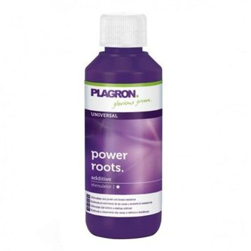 Plagron Power Roots 100 ml Bitki Besini