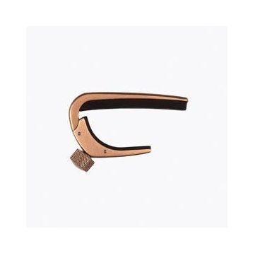 PlanetWaves PW-CP-02 Siyah Gitar Kaposu