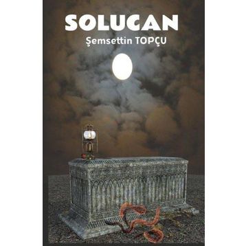 Platanus Publishing Solucan - Bir Annenin Ölümü
