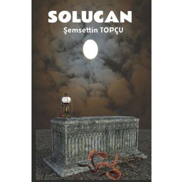 Platanus Publishing Solucan - Bir Annenin Ölümü