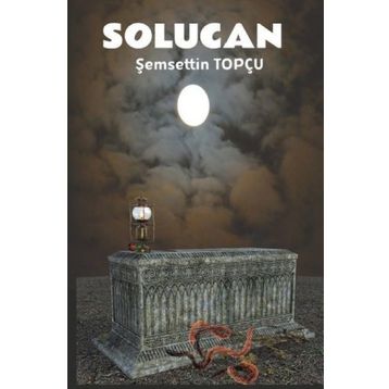 Platanus Publishing Solucan - Bir Annenin Ölümü