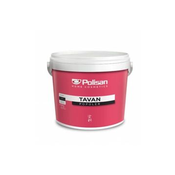 Polisan 10 kg Popüler Tavan