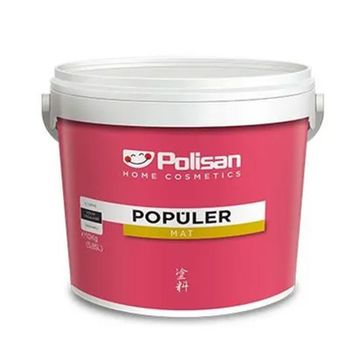 Polisan 3 kg Siyah Rapid Boya