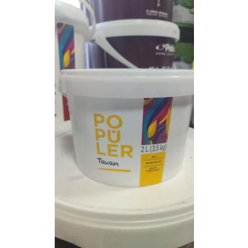 Polisan 3,5 kg Popüler Tavan Boyası