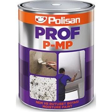 Polisan Prof P mp Nem Ve Rutubet 1 kg Boya