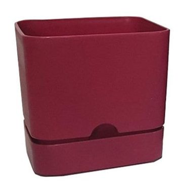 Poliwork Begonya Kare 13 cm Bordo Saksı