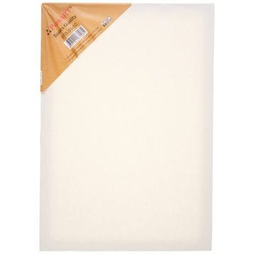 ponart 35x50 cm Basic Seri Tuval