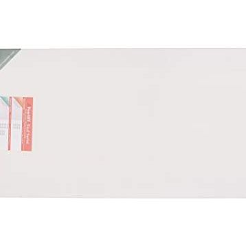 Ponart 40x90 cm Profesyonel Kalın Şase A Plus Tuval