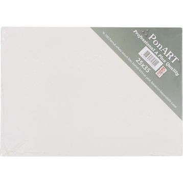 Ponart Pres 25x35 cm Tuval