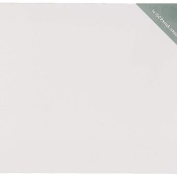 Ponart Profesyonel A Plus 25x50 cm Tuval