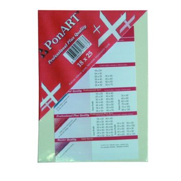 Ponart Profesyonel Plus 18x25 cm Tuval