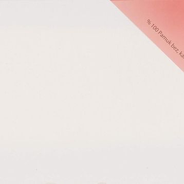 Ponart Profesyonel Plus 20x40 cm Tuval