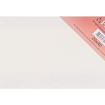 Ponart Profesyonel Plus 20x40 cm Tuval