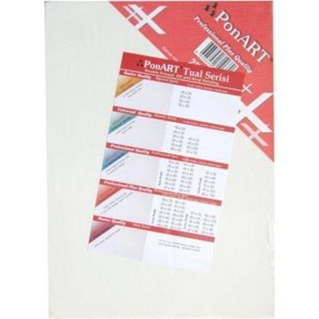 Ponart Profesyonel Plus 20x40 cm Tuval