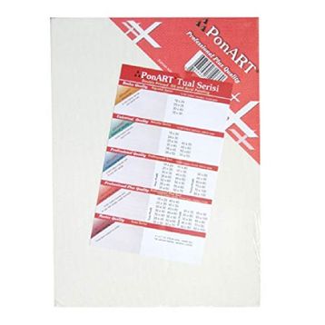 Ponart Profesyonel Plus 20x40 cm Tuval