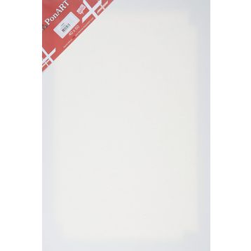 Ponart Profesyonel Plus 40x60 cm Tuval