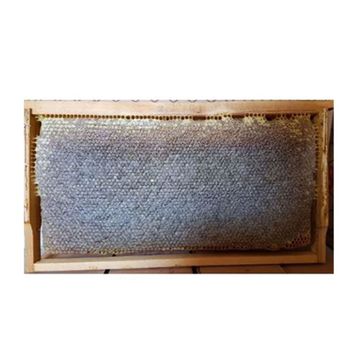 Poniba 2 kg Organik Saf Karakovan Petek Balı